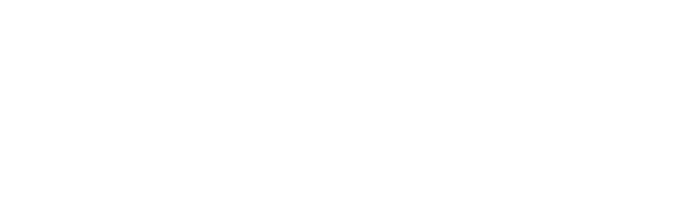 logo-tplus-engineering-gmbh_neg